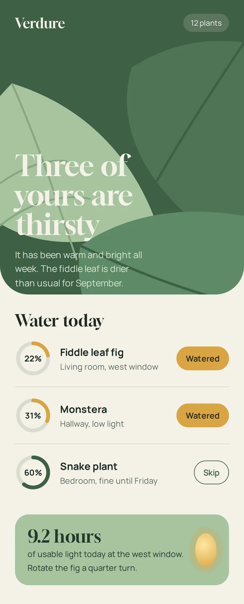 Verdure, houseplant watering